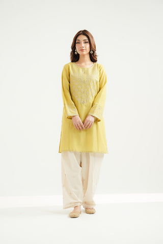 2 Piece Lawn Embroidered Suit (CS0517)