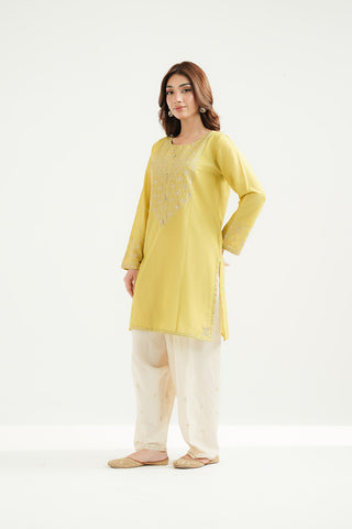 2 Piece Lawn Embroidered Suit (CS0517)