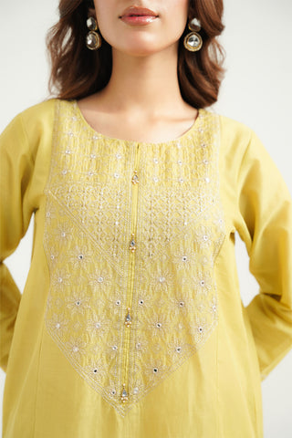 2 Piece Lawn Embroidered Suit (CS0517)