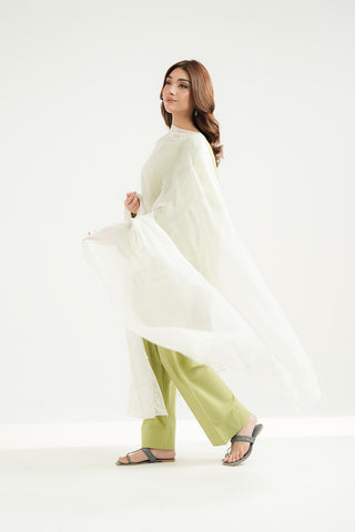 1 Piece Chiffon Embroidered Dupatta (FD0101)