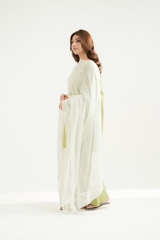 1 Piece Chiffon Embroidered Dupatta (FD0101)