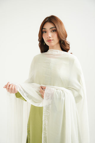 1 Piece Chiffon Embroidered Dupatta (FD0101)