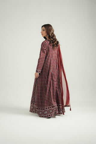 2 Piece Printed Lawn Embroidered Suit (CS0549)