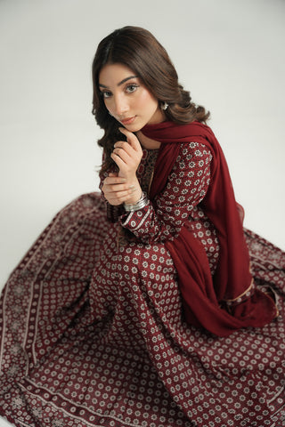 2 Piece Printed Lawn Embroidered Suit (CS0549)