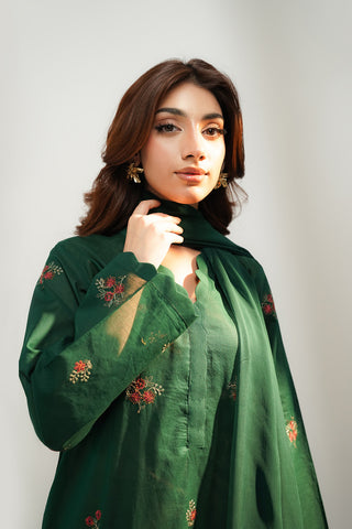 3 Piece Lawn Embroidered Suit (CS0521)