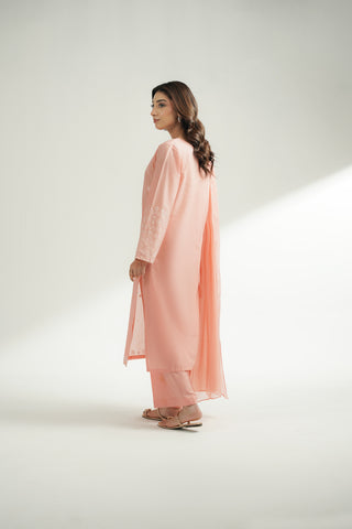 3 Piece Lawn Embroidered Suit (CS0568)