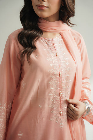 3 Piece Lawn Embroidered Suit (CS0568)