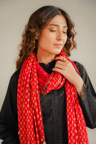 1 Piece Lawn Printed Stole (CO0002)