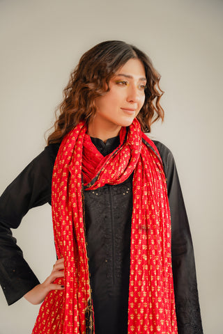 1 Piece Lawn Printed Stole (CO0002)