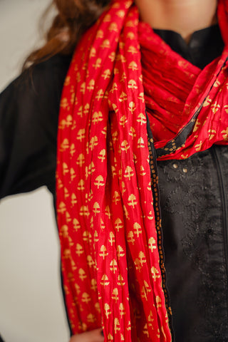 1 Piece Lawn Printed Stole (CO0002)