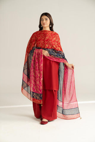1 Piece Chiffon Printed Stole (CO0036)