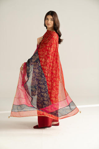1 Piece Chiffon Printed Stole (CO0036)