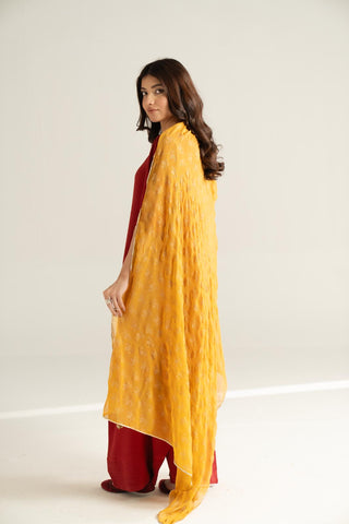 1 Piece Chiffon Printed Stole (CO0040)