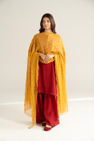 1 Piece Chiffon Printed Stole (CO0040)