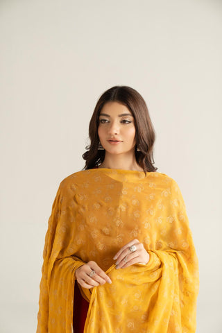 1 Piece Chiffon Printed Stole (CO0040)