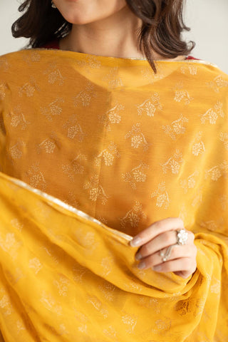 1 Piece Chiffon Printed Stole (CO0040)