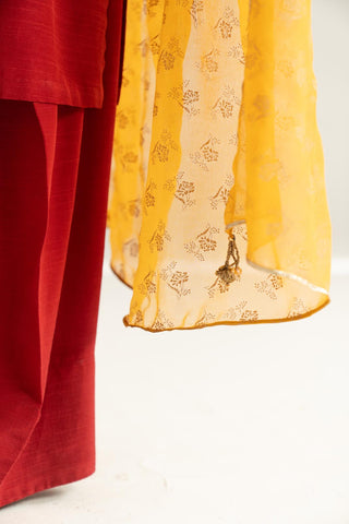 1 Piece Chiffon Printed Stole (CO0040)