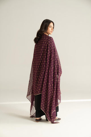 1 Piece Chiffon Printed Stole (CO0038)