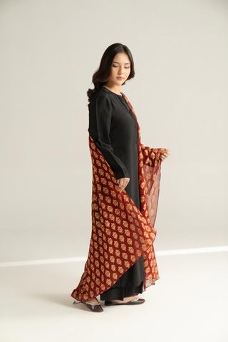 1 Piece Chiffon Printed Stole (CO0039)