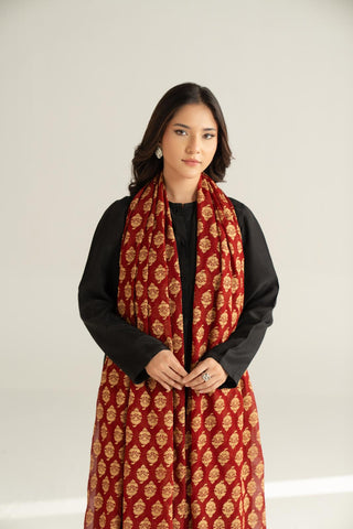1 Piece Chiffon Printed Stole (CO0039)