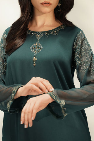 2 Piece Chiffon Embroidered Suit (FS0211)