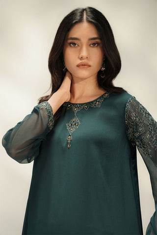 2 Piece Chiffon Embroidered Suit (FS0211)