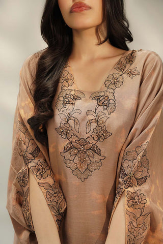 2 Piece Raw Silk Embroidered Suit (FS0082)