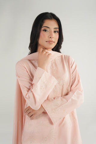 3 Piece Cotton Silk Embroidered Suit (CS0673)
