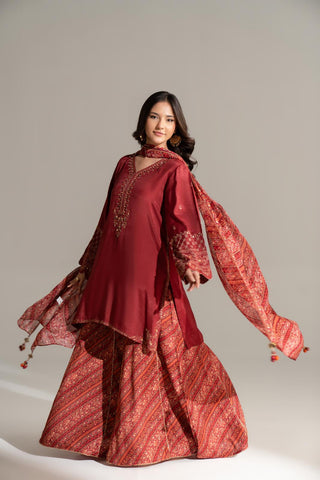 3 Piece Raw Silk Embroidered Suit (FS0162)
