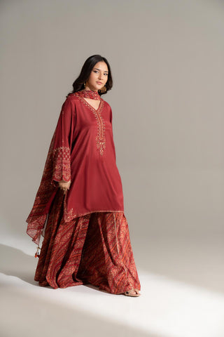 3 Piece Raw Silk Embroidered Suit (FS0162)