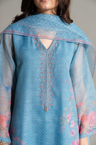 3 Piece Net Printed Printed Suit (FS0156)