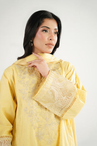 3 Piece Jacquard Embroidered Suit (CS0671)