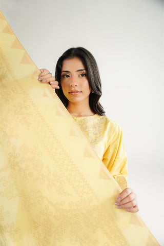 3 Piece Jacquard Embroidered Suit (CS0671)