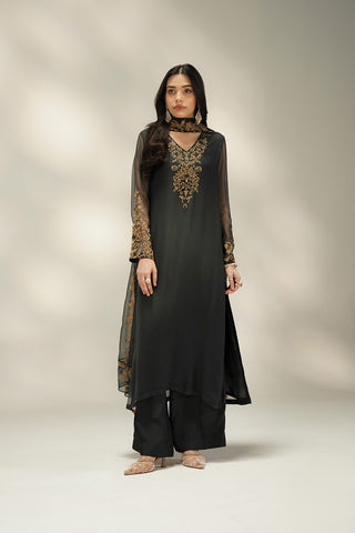 3 Piece Chiffon Embroidered Suit (FL0239)