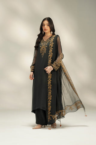 3 Piece Chiffon Embroidered Suit (FL0239)