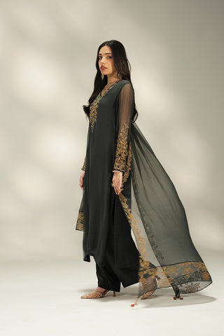 3 Piece Chiffon Embroidered Suit (FL0239)