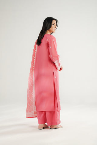 3 Piece Lawn Embroidered Suit (CS0683)