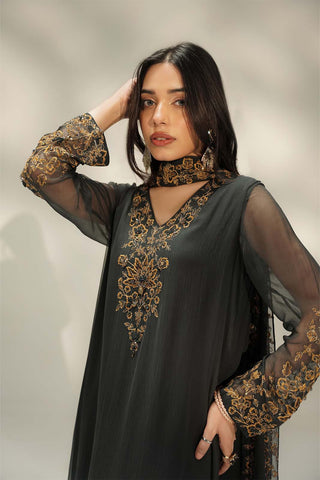 3 Piece Chiffon Embroidered Suit (FL0239)