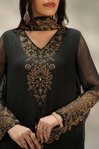 3 Piece Chiffon Embroidered Suit (FL0239)