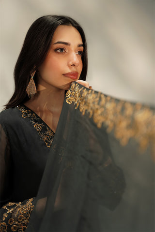 3 Piece Chiffon Embroidered Suit (FL0239)