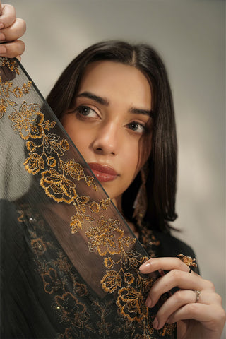 3 Piece Chiffon Embroidered Suit (FL0239)