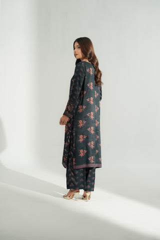 2 Piece Printed Raw Silk Printed Suit (FS0183)