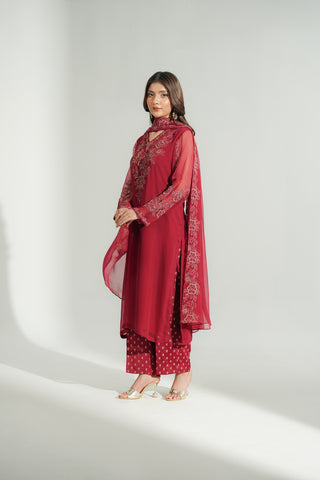 3 Piece Chiffon Embroidered Suit (FL0193)