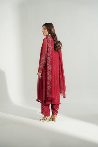 3 Piece Chiffon Embroidered Suit (FL0193)