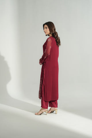 2 Piece Chiffon Embroidered Suit (FL0191)