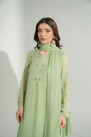 3 Piece Chiffon Embroidered Suit (FS0179)