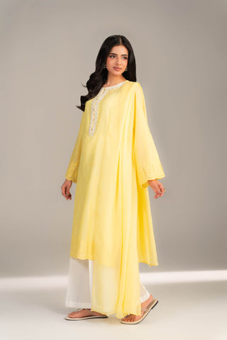 2 Piece Lawn Embroidered Suit (CS0457)