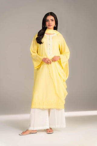 2 Piece Lawn Embroidered Suit (CS0457)