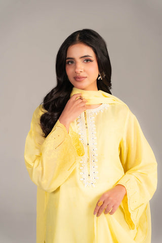 2 Piece Lawn Embroidered Suit (CS0457)