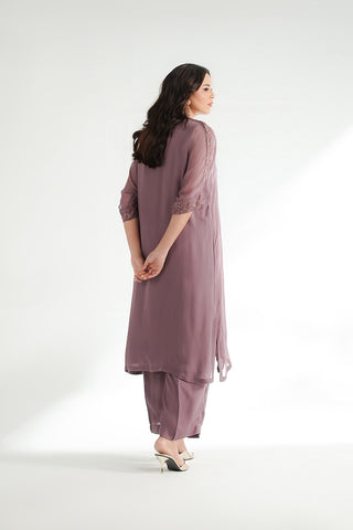 2 Piece Chiffon Embroidered Suit (FL0228)